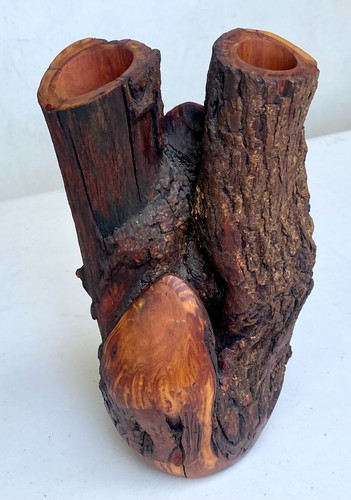 Handcrafted Double Wooden Carved Burl Vase Signed Earth Gems Dated '97 - 第 1/6 張圖片