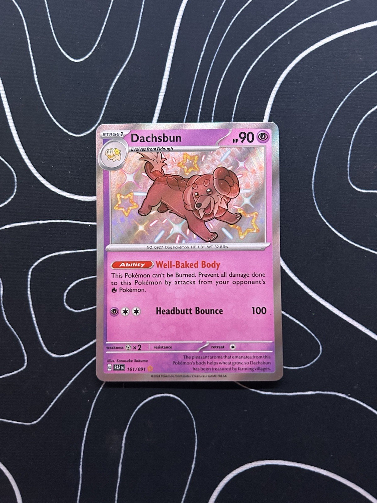 Pokémon TCG Shiny Dachsbun Holo Rare Card 161/091 Paldean Fates