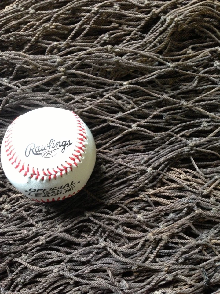  Red deportiva de béisbol/softbol/fútbol de 20 pies x 15 pies, equipo de pesca comercial usado Foto 4 de 4