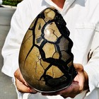 8.29LB Natural Turtle Back Stone Dragon Crystal Cave Crack Gem Healing — photo 9