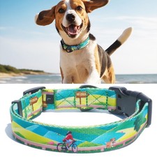Collar for Dogs, Quality Basic Daily Collar, Cute Collar for Small and Medium...