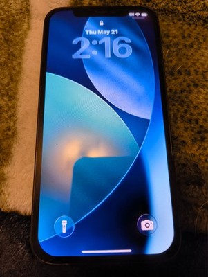 Apple iPhone 12 Pro - 512 GB - Graphite (Unlocked)