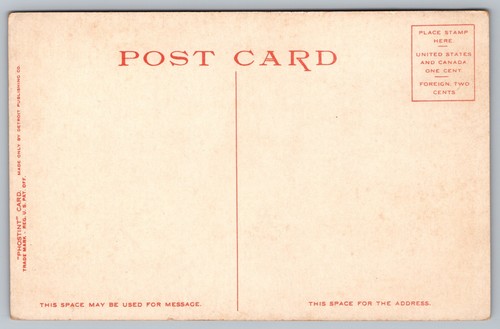 Postcard: Pine Woods, FL, Detroit Photographic Co., 8214, Divided Back, Unposted - Picture 2 of 2