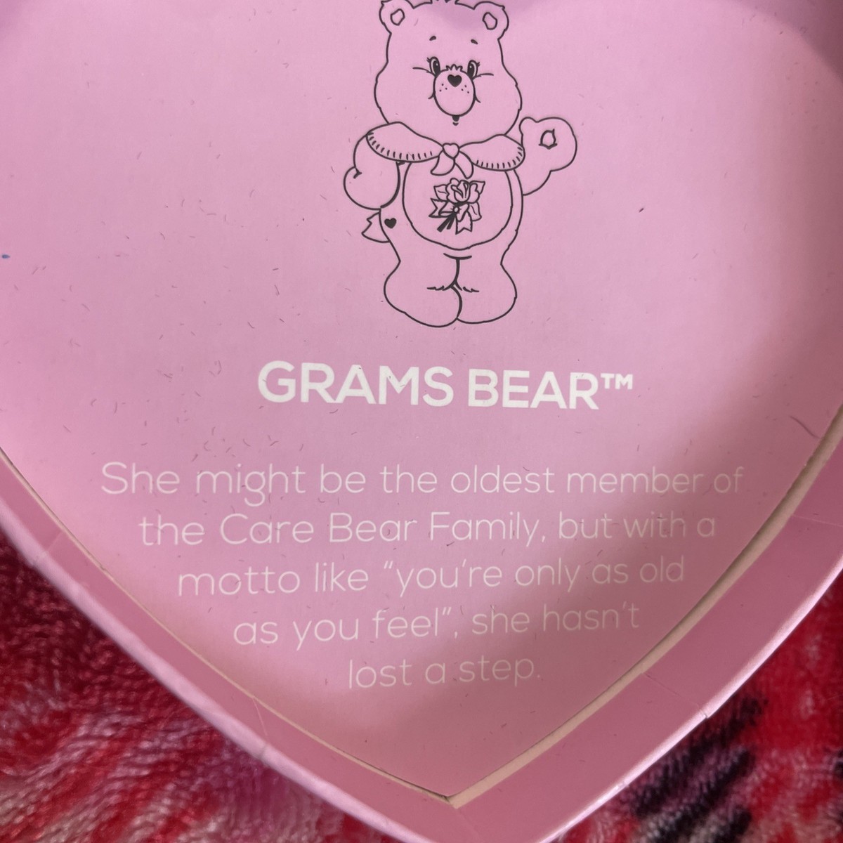 NWT Erstwilder Care Bears Grams Bear Brooch Pin