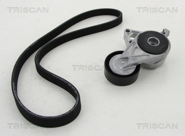 Keilrippenriemensatz Triscan 8642 29013 FüR Audi Seat Skoda VW TT Alhambra Bora-image