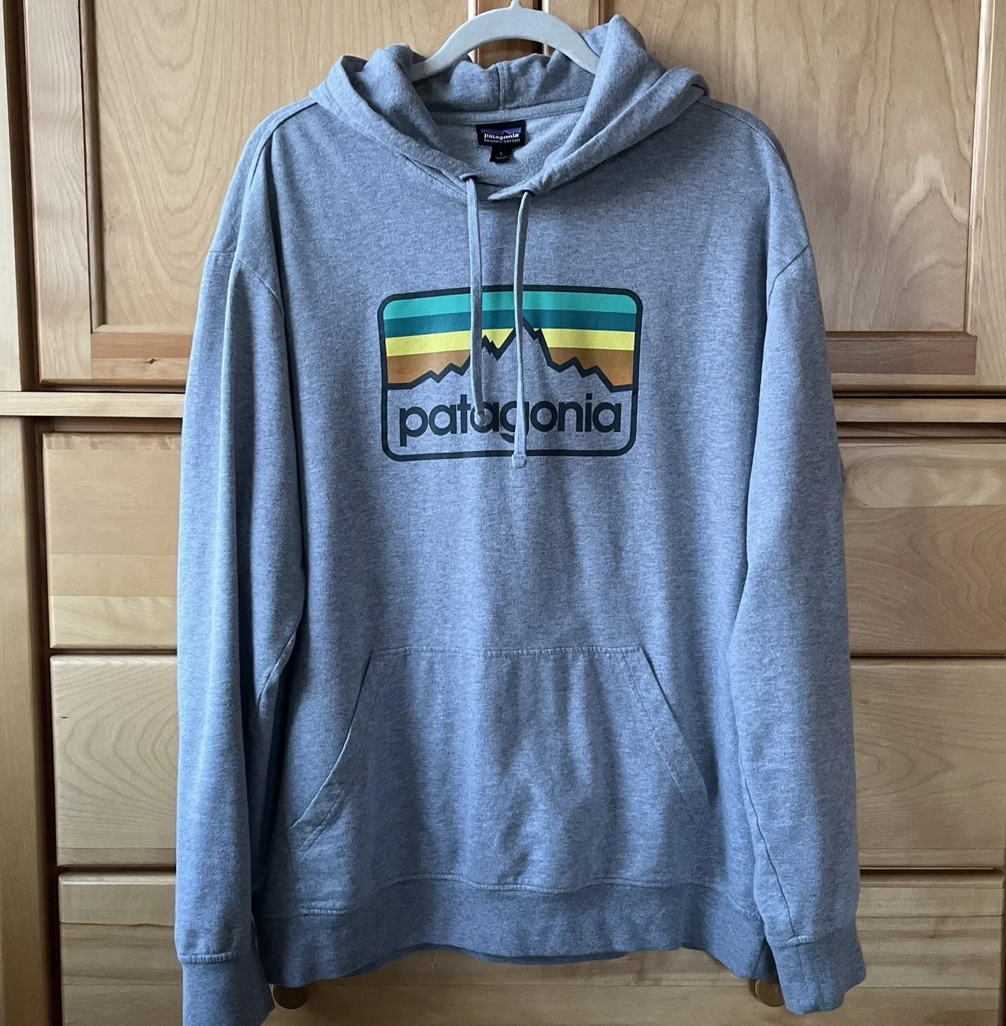 Patagonia Men's Line Logo Badge Pullover Hoodie Sweatshirt Feather Grey  Large | eBay