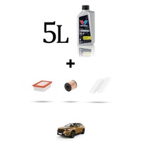 Hoffcar Wartungskit 3 Filter Und 5L ÖL FüR Ds7 Crossback 1.6 Pure Tech 165Kw