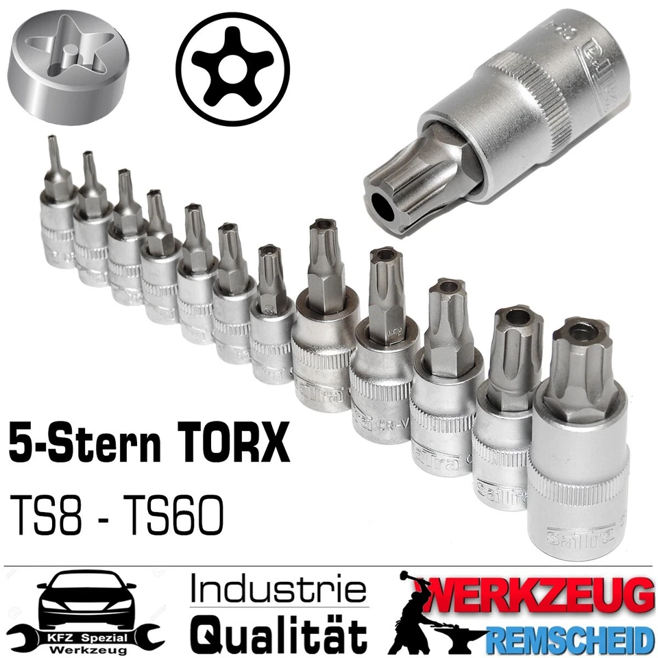 12-tlg Fünfstern TORX IPR Sicherheits Stecknuss Steckschlüssel Bits TS8 - TS60 - Bild 2 von 4