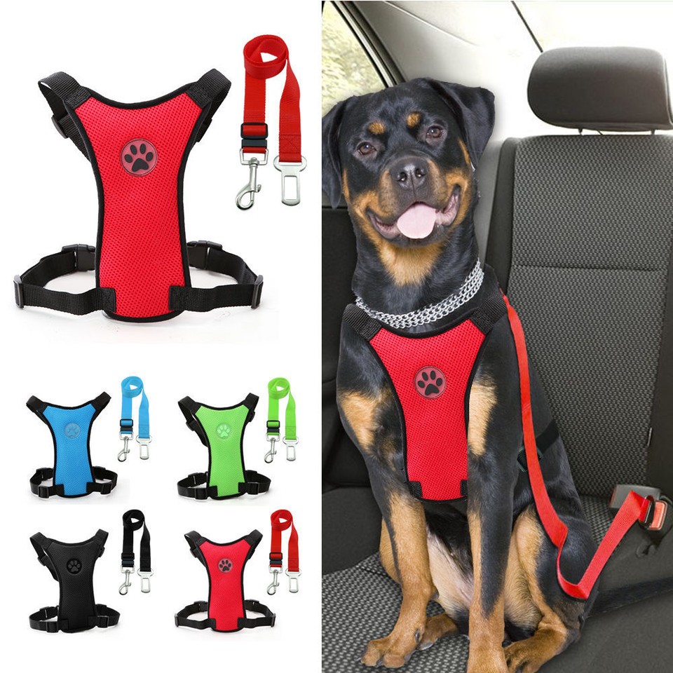Breathable Air Mesh Dog Car Harness Small Large Dogs Travel Seat belt | eBay