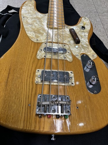 VINTAGE 1970'S AMPEG GEB 750 BIG STUD BASS W/GIG BAG - Picture 3 of 7