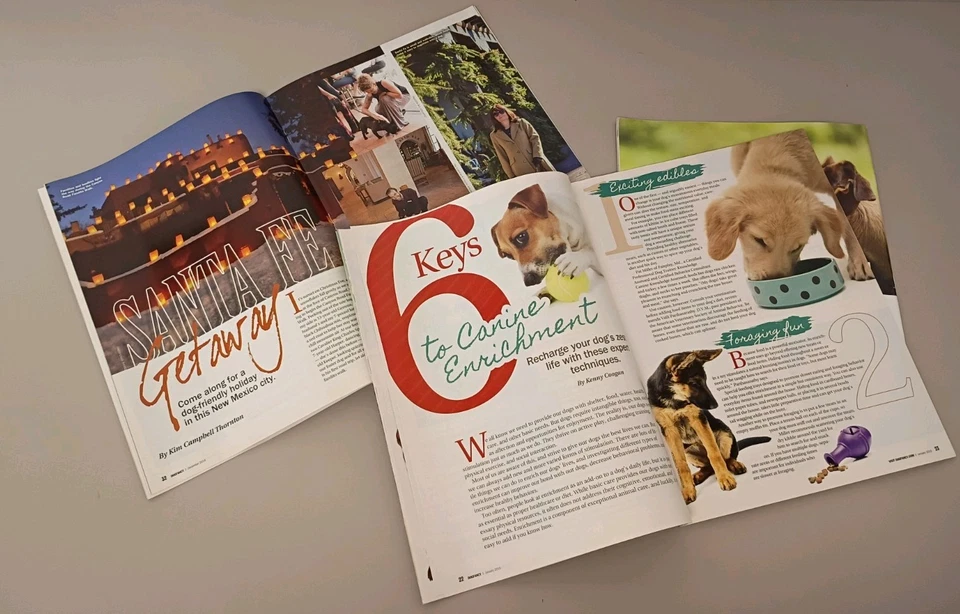 Lot of 3 Dog Fancy magazine (1) 2014 (2) 2015 Foto 2 de 3