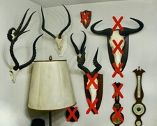 Trophäe Sammlung Geweih Hörner Afrika Antilope Gazelle Barometer - nur komplett!