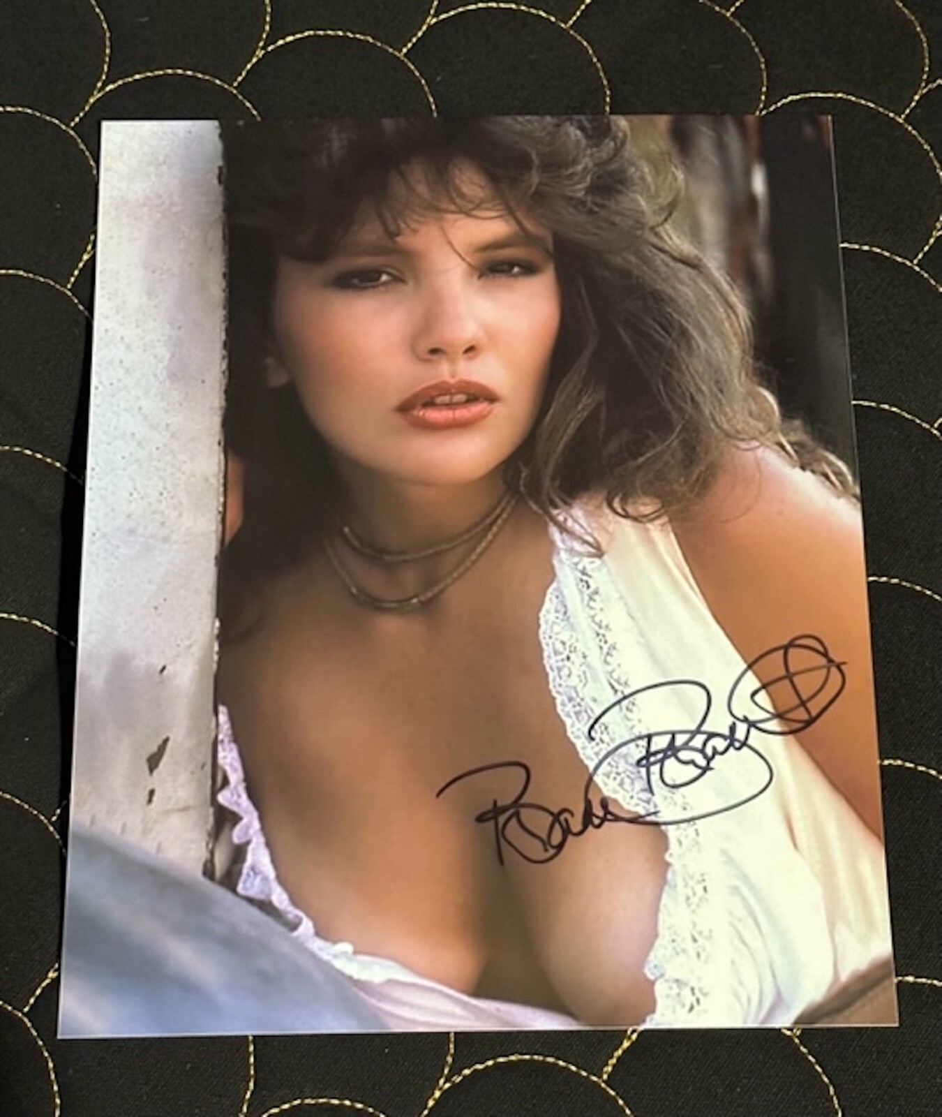 BRANDI BRANDT 1987 PLAYBOY PLAYMATE AUTOGRAPHED 8X10 PHOTO eBay