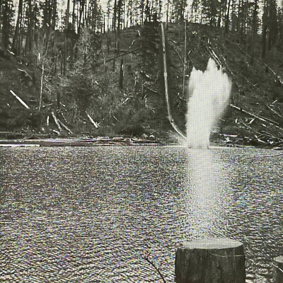 Antique 1910s Tree Slams Into River Oregon Glass Positive Lantern Slide V3061