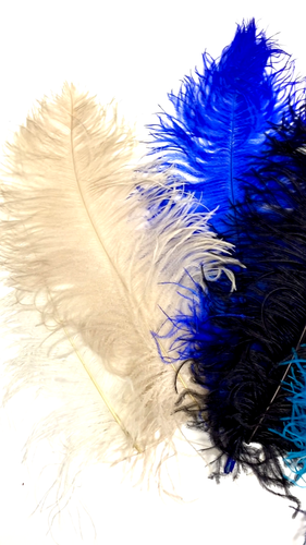 "PLUMAS DE AVESTRUZ DE 8""-18"" PLUMAS Calidad Superior ¡Muchos Colores para Elegir! Artesanía/HÁGALO USTED MISMO - Vídeo 1 de 1