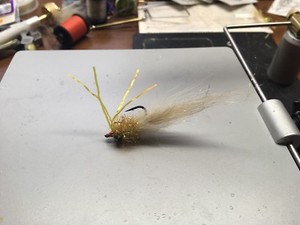 redfish tarpon snook bonefish