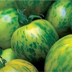 Tomato Green Zebra Great Heirloom Garden Vegetable By Seed Kingdom 1/4 Lb Seeds
