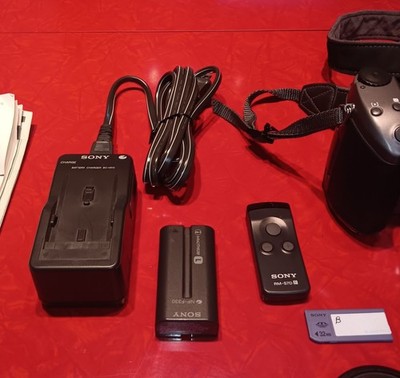 Sony Cyber-shot DSC-D770 1.5MP Digital Camera - Silver for sale