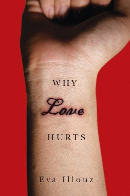 Why Love Hurts: A Sociological Explanation,Eva Illouz - Image 4