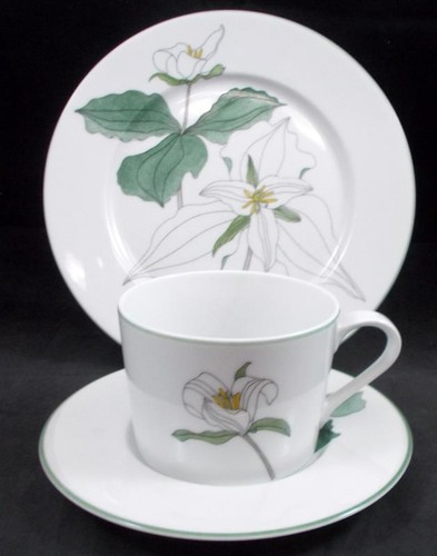 Block Trillium Group of 1 Cup and Saucer Set with 1 Salad Plate