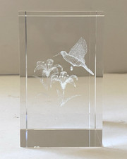 Clear Crystal Rectangular 3-D Laser Etched Paperweight Hummingbird W/ Case