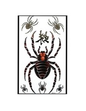 Spider Pattern Colorful Sticker Temporary Tattoo
