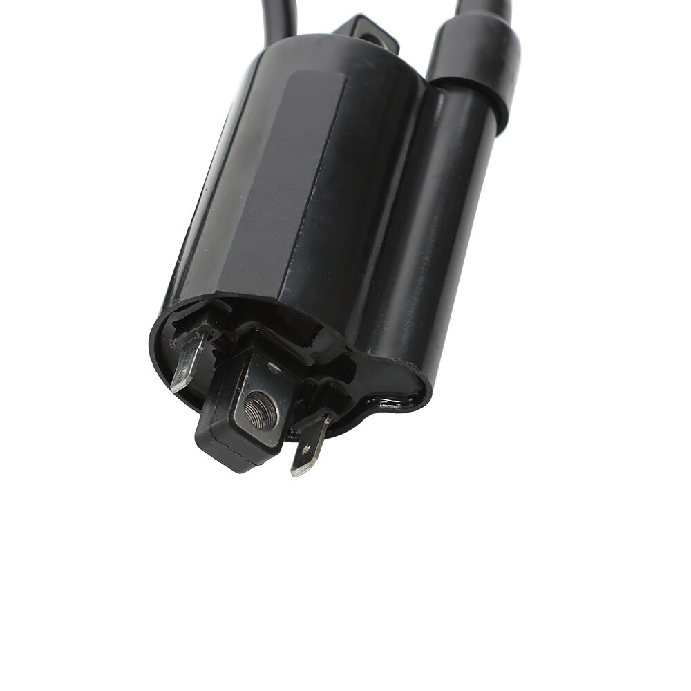 Labworkauto 2-Pack Ignition Coils With Spark Plugs For Suzuki Intruder VS700GL VS750GL VS800GL – 33410-38A02