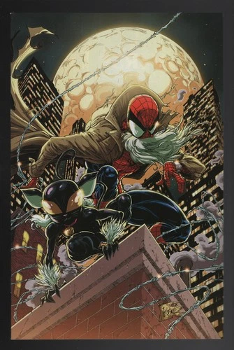 Spider-Man Reign 2 (2024) #2 Kaare Andrews Virgin 1:50 Variant Kitty-Cat