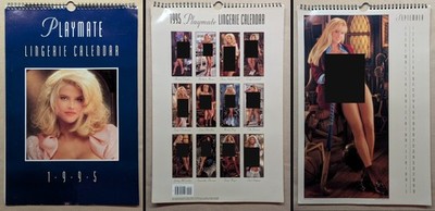 1995 Playmate Lingerie Wall Calendar Mint Vintage Playboy Collectible
