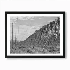 Untitled Photo, Possibly Related To Framed Wall Art Poster Canvas Print Picture