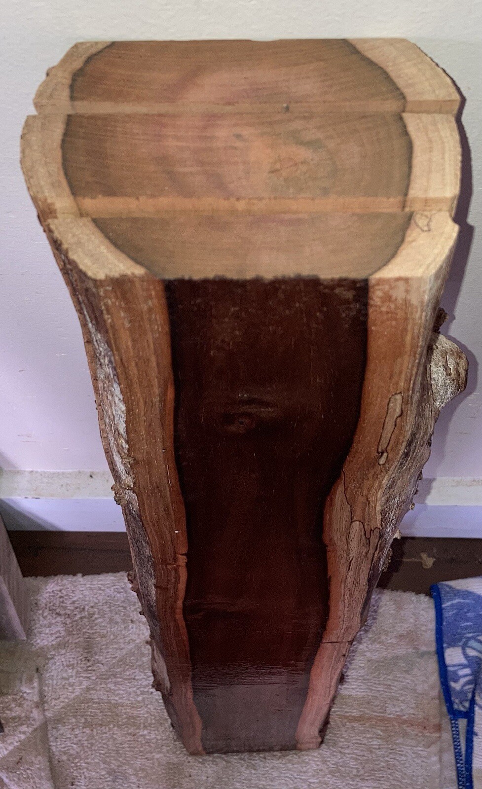Picture 10 of 10