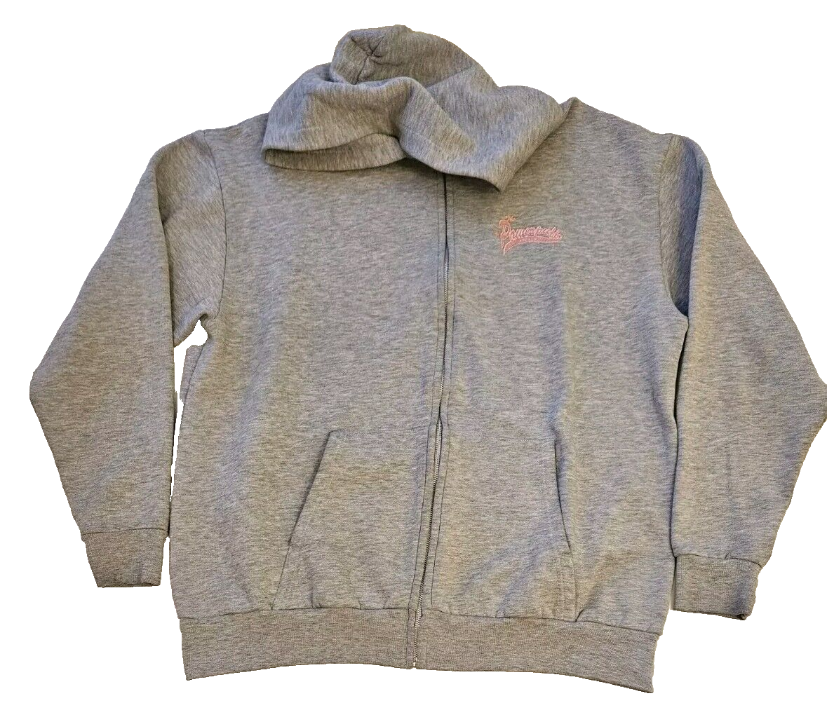 Powerpuff Girls Hoodie Six Flags Men's LARGE Long Sleeve