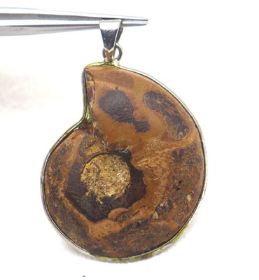 12.590 Grams Natural Ammonite Fossil Pendant Spiral Shell Antique Silver Jewelry