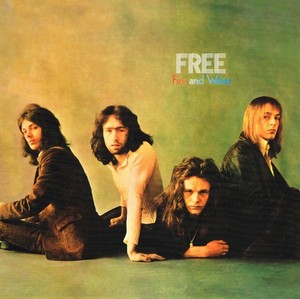 Free Fire and Water Vinyl | eBay