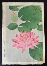 Kawarazaki Shodo woodblock print Water Lilies Suiren Flower New Prints Japan