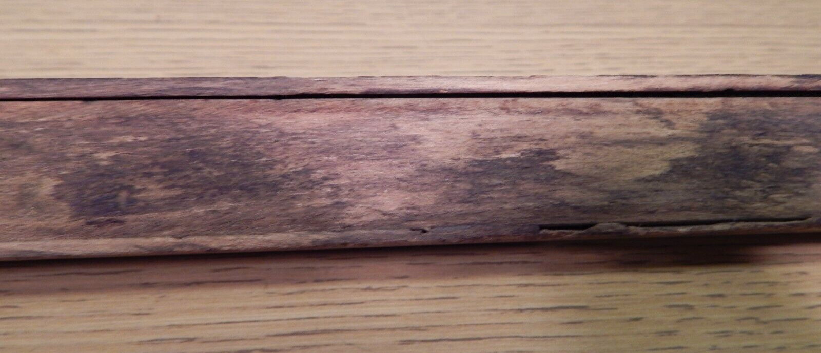 Picture 10 of 12