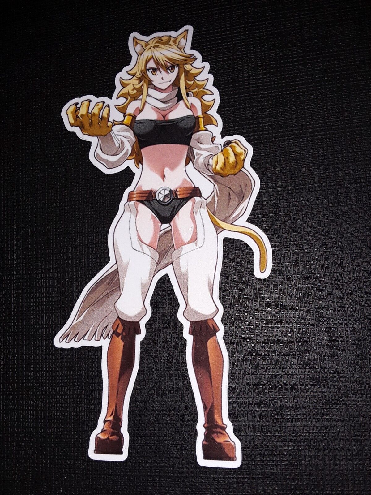 Leone from Akame Ga Kill Glossy Sticker Anime Appliances, Walls, Windows!