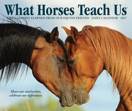What Horses Teach Us Desk Calendar 2027, Desk Calendars, Day To View, Gift - Image 4