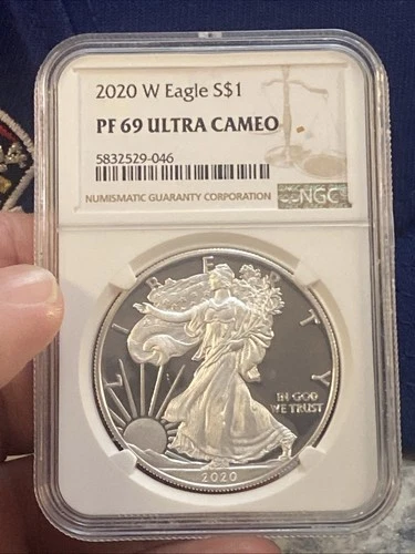 2020 W ~ NGC PF69 ULTRA CAMEO 1 OZ AMERICAN SILVER EAGLE - BROWN LABEL