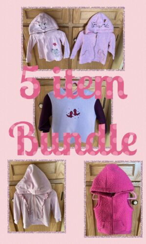 5 Item LOT - Toddler/Baby Girl Hoodies - Crew Neck - Hooded Vest - Size 12m-24m - Picture 1 of 6