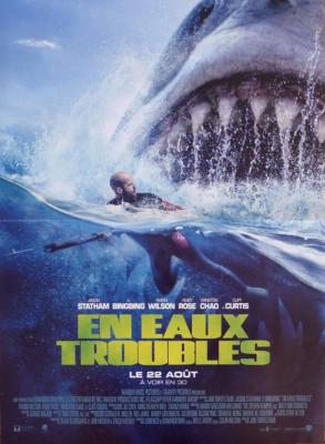 THE MEG - JASON STATHAM / SHARK / JAWS / DEEP SEA - ORIGINAL FRANZÖSISCHES FI...