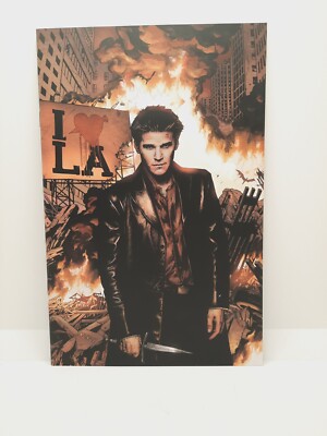 Angel: After the Fall #9 Retail Incentive Virgin Variant IDW 2008 1 in 10 .
