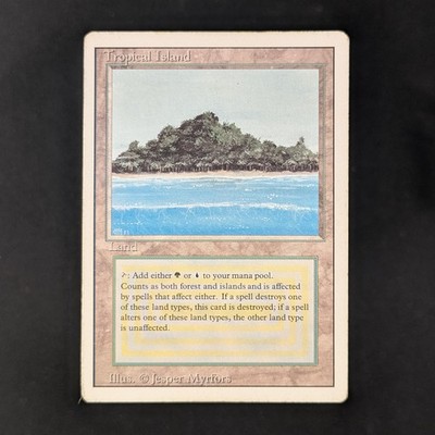 MTG \>> Tropical Island (PL) // Revised - 341 Trading - Magic