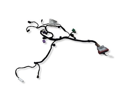 Maserati Levante M161 2018 3.0 Rear Left Door Wiring Harness 06700326240 Petrol