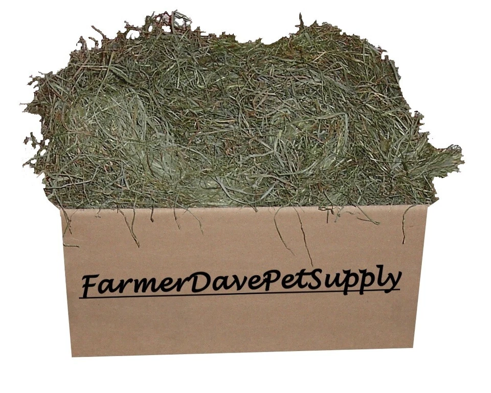 FARMERDAVEPETSUPPLY 5 lb PREMIUM 3rd Cut Timothy Hay-Chinchilla,Guinea Pig