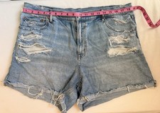 American Eagle Outfitters Relaxed Short Women...
