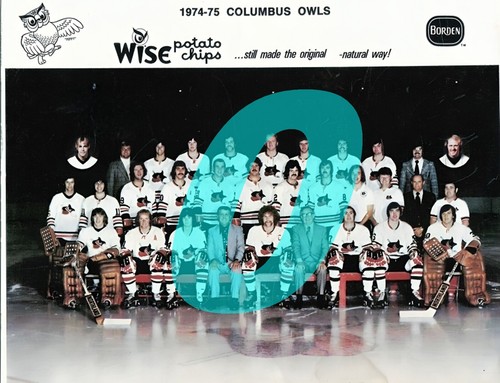 INTERNATIONAL HOCKEY LEAGUE TEAM PHOTOS ( YOU PICK FROM LIST) REPRINT - Picture 73 of 145