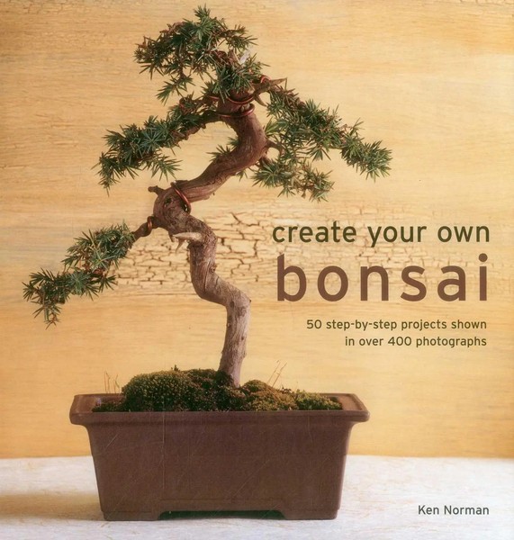 Norman Ken | Create Your Own Bonsai | Buch | Englisch (2015) | Gebunden-image