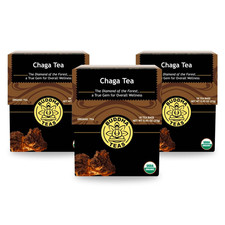 Chaga Mushroom Tea 6 Count Pack Antioxidant Herbal Wellness