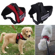 Dog Harness Collar Adjustable Hand Strap Padded Pet Outdoor Seat Belt Security